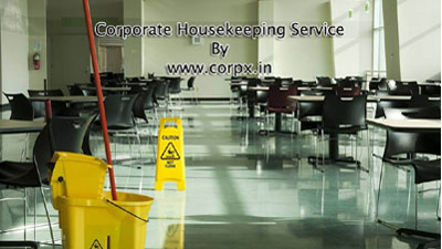 Professional Housekeeping Service